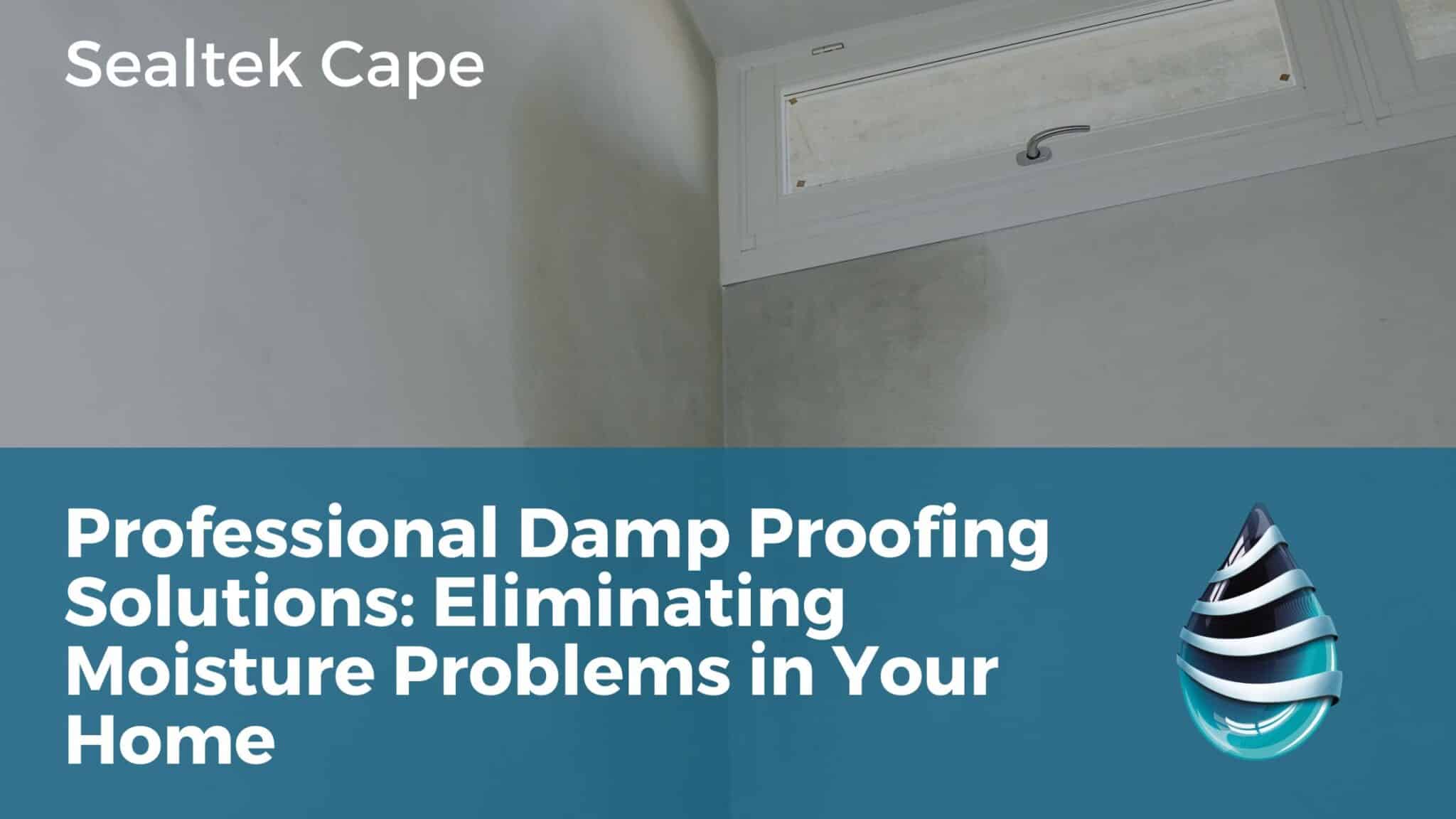 Professional Damp Proofing Solutions | Sealtek Cape